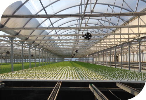 Farming in a New Era - Grow Systems International (GSI)